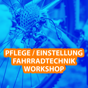 2h Workshop Pflege / Inspektion / Einstellung (Gutschein)